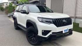 ランドクルーザープラド売買実績画像