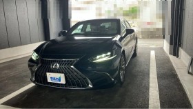 ＥＳ売買実績画像
