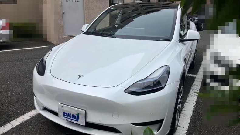 テスラ モデルＹの売買実績画像