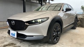 ＣＸ－３０売買実績画像