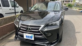 ＮＸ売買実績画像
