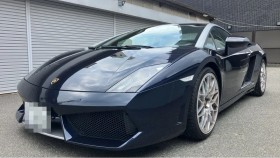 ガヤルド売買実績画像