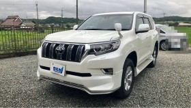 ランドクルーザープラド売買実績画像