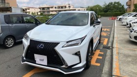 ＲＸ売買実績画像