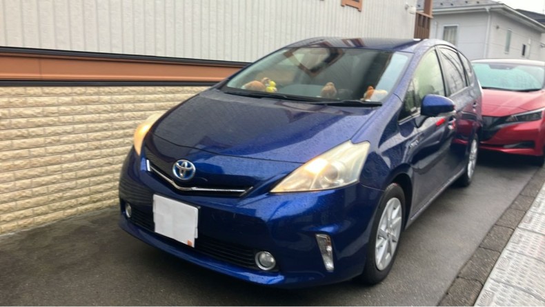 トヨタ プリウスαの売買実績画像