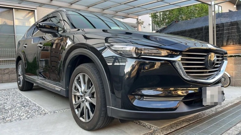 マツダ ＣＸ－８の売買実績画像