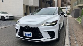 ＲＸ売買実績画像