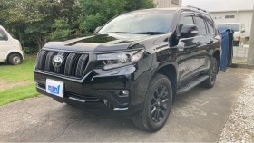 ランドクルーザープラド売買実績画像
