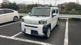 タフト売買実績画像