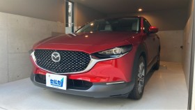 ＣＸ－３０売買実績画像