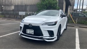 ＲＸ売買実績画像