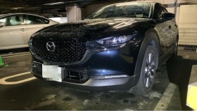 ＣＸ－３０売買実績画像