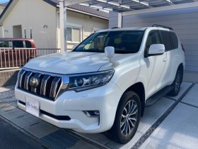 ランドクルーザープラド売買実績画像