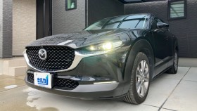 ＣＸ－３０売買実績画像