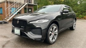 Ｆペイス売買実績画像