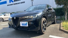ステルヴィオ売買実績画像